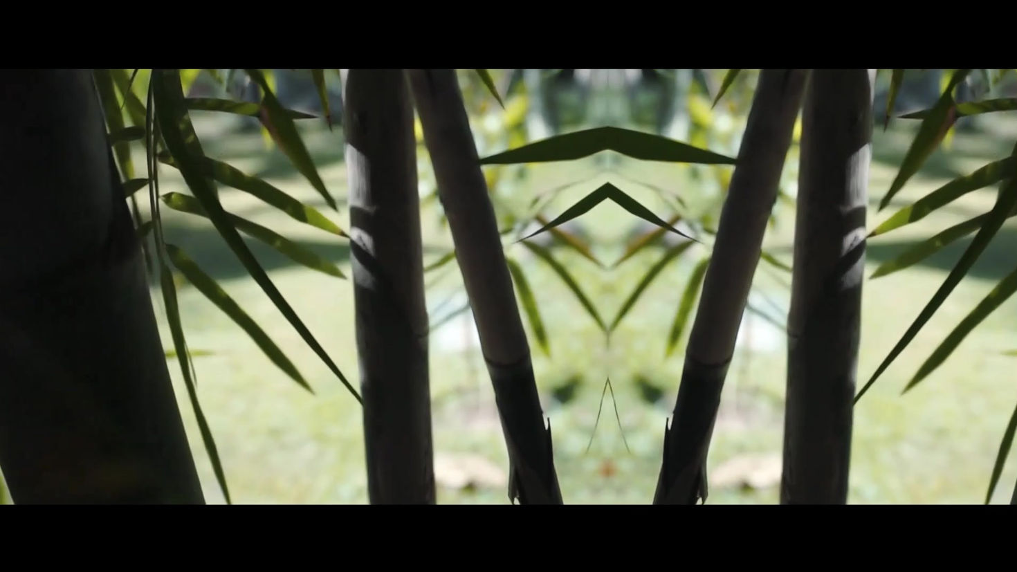 Flashback New Trailer